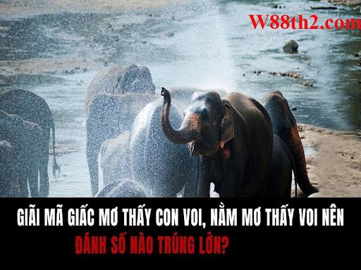 ฝันเห็นช้างตัวหนึ่ง