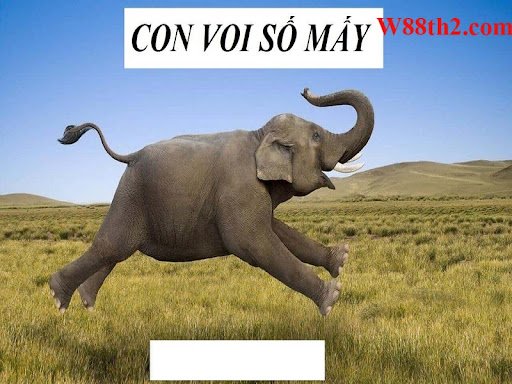 ฝันเห็นช้างตีเลขเด็ดอะไรเพื่อให้ร่ำรวย