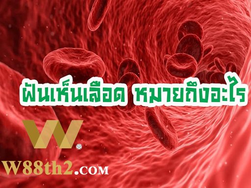 ฝันเห็นเลือดตีเป็นเลขอะไร