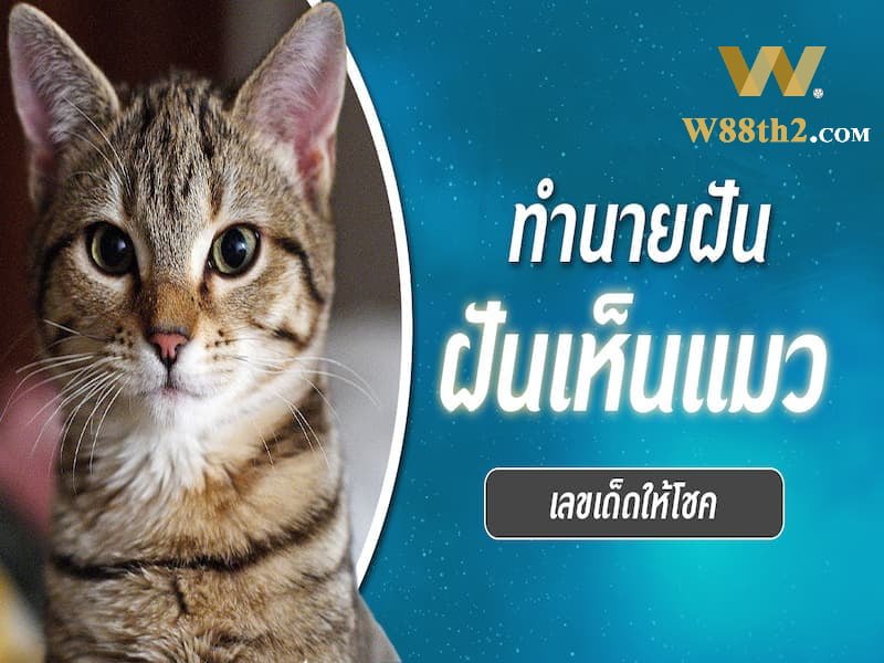 ฝันว่าได้ยินเสียงแมวร้อง ฝันว่าได้ยินเสียงแมวร้อง
