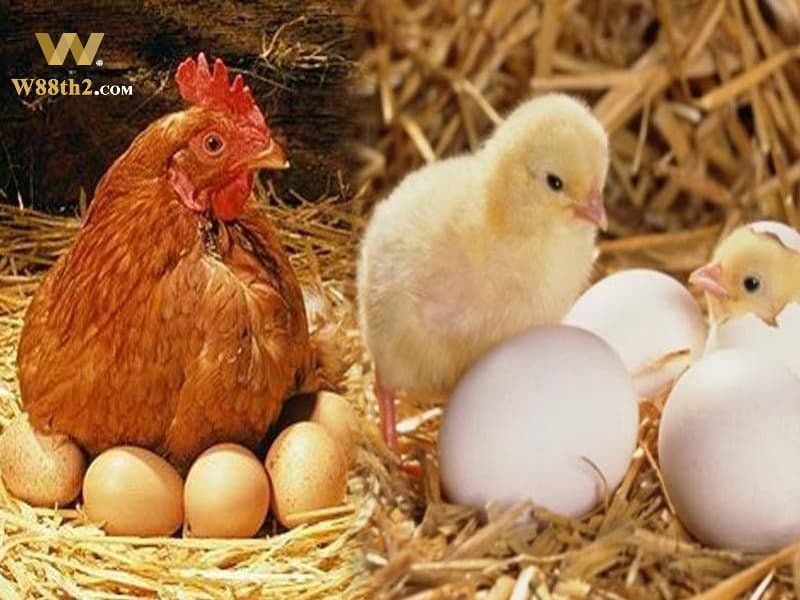ฝันเห็นไก่ออกไข่ ฝันเห็นไก่ออกไข่