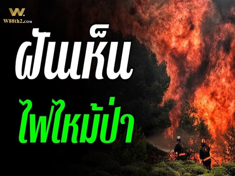 ฝันเห็นไฟไหม้ป่า การเห็นไฟป่าในฝันหมายความว่าอย่างไร